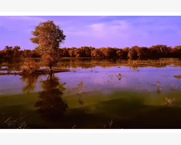 刚怀孕气血不足怎么办？